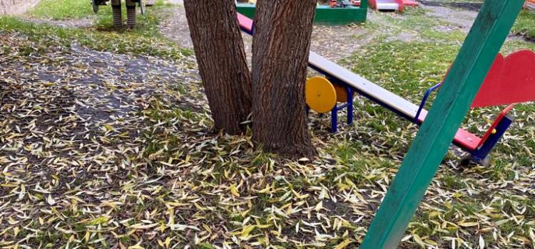 Детская площадка